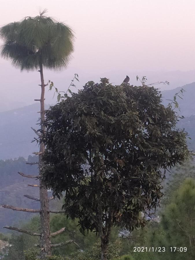 Mangalmurti Himalyan Homestay Hawalbagh ภายนอก รูปภาพ